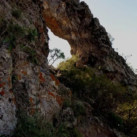 Amplio Duplex * Tamaimo