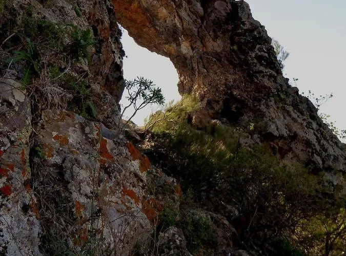 Amplio Duplex * Tamaimo