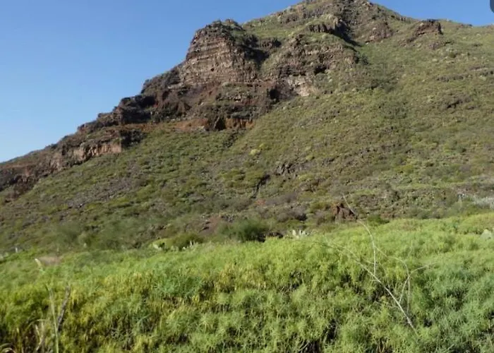 Amplio Duplex * Tamaimo